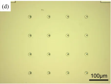図 2.15(d) 　直径 8μm の Ga バンプ