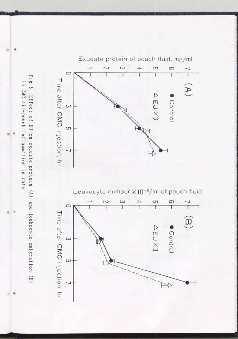 Fig.  5  Effect  of  EJ  on  exudate  protein  (A)  and  leukocyte  emigration  (B) 