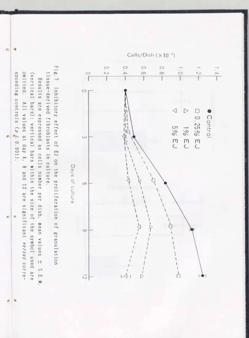 Fig.  7  Inhibitory  effect  of  EJ  on  the  proliferation  of  granulation 
