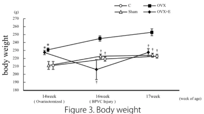 Figure 3. Body weight