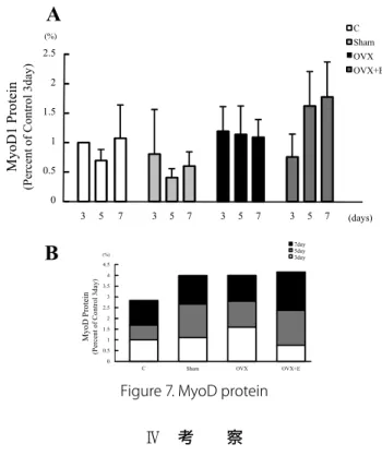 Figure 7. MyoD protein