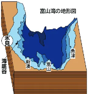 図 7.   富山湾の地形図（ウェブサイト「富山県氷見市観光情報サイト」より） 氷見沖は暖流である対馬海流が能登半島に沿って入り込み、また水深 300m 以深に年間 を通じて 1 ℃～ 2 ℃で存在する日本海固有水（深層水）があるため、暖流系の魚も寒流系の 魚も存在する（図 8 ）。また、能登半島が日本海に張り出していることによって、潮の流れ が比較的遅くなるため、回遊魚を中心とする魚が入り込みやすい。 図 8