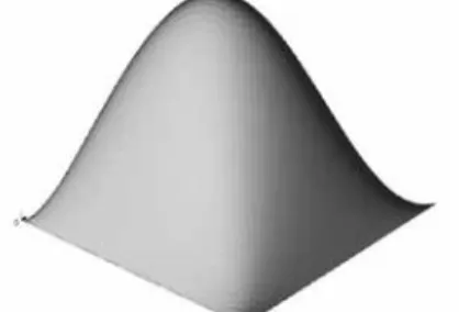Figure 1.  A classical bubble function φ K  defined  on triangle element K∈T h  (d=2)