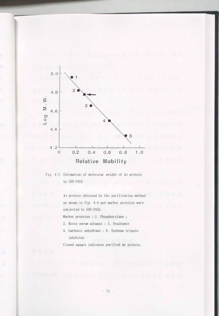 Fig.  4-3.  Estimation  of  molecular  weight  of  的. protein  by  SDS-PAGE. 