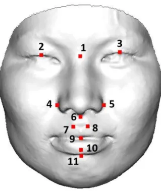 図 5：相同モデル化に使用する解剖学的ランドマーク 