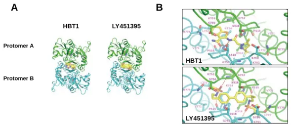 Figure 9 The mode of HBT1 and LY451395 binding to a pocket in the LBD of AMPA-R differed