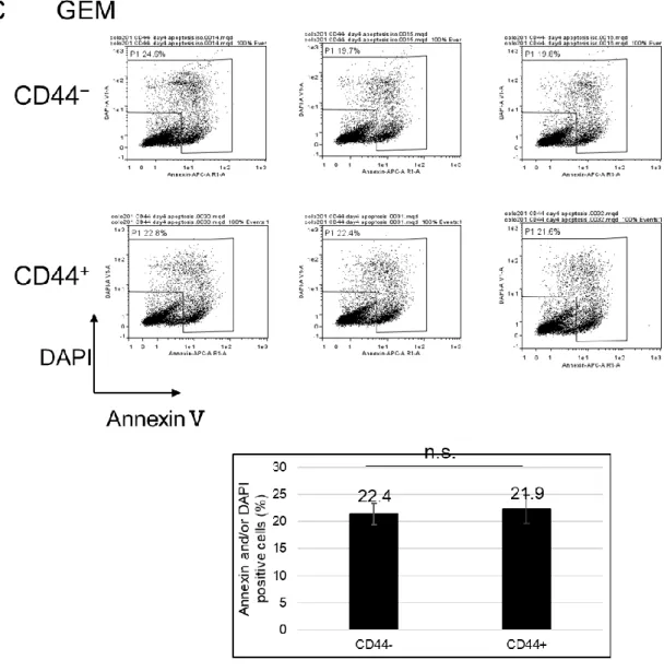 図 16. CD44 陽性細胞および陰性細胞の殺細胞性抗癌剤の感受性評価 