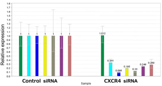 図 25. CXCR4 ノックダウンによる亢進分子の発現変動評価