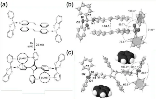 Figure 1-8. (a) 2-フェニル-1,3,2-ベンゾジオキサボロールとスチリルピリジンからなるホウ素–窒素錯体の 分⼦間[2+2]光⼆量化反応の模式図  (b)  ホウ素–窒素錯体の結晶構造  (c)分⼦間[2+2]光⼆量化反応を経て 得たホウ素–窒素錯体とベンゼンからなる包接結晶の結晶構造 111  Figure  1-9