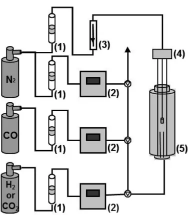 Fig. 2-5. Schematic view of gas path for carbon deposition reaction. 