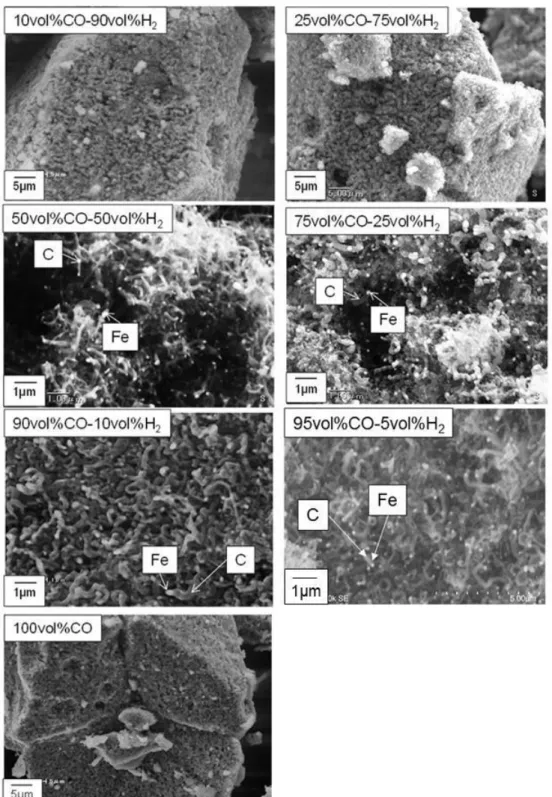 Fig. 2-16. Secondary electron images of carbon deposited on iron in each gas  composition at 500℃