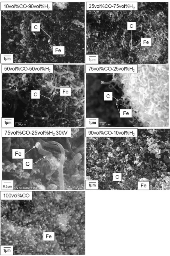Fig. 2-17. Secondary electron images of carbon deposited on iron in each gas  composition at 600℃