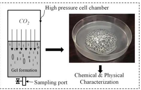 Figure 2.1 In-situ gel formation as per conducted in this study 