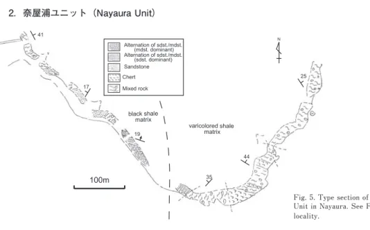 Fig. 5. Type section of the Nayaura  Unit in Nayaura. See Fig. 2 for the  locality. 分布：調査地域東部の道方から贄 にえうら 浦を経て中央部の神 かみさきうら 前浦，西部の三谷山南方まで分布する．三谷山 付近では東宮ユニットが尖滅することにより，秩父帯南帯能見坂コンプレックスと仏像構造線を介し て接する（Fig