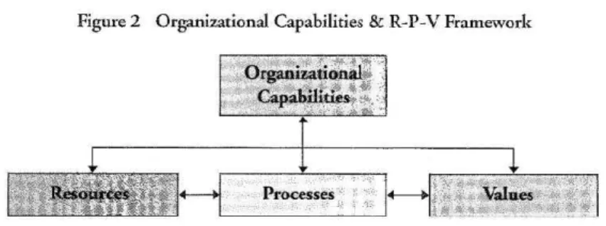Figure  2  Or ganizational  Capabilities  &amp;  R-P-V  Framework          .a  