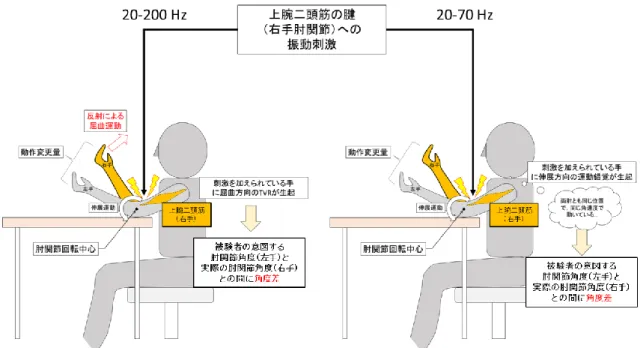 図  1-12  TVR と運動錯覚による動作変更 