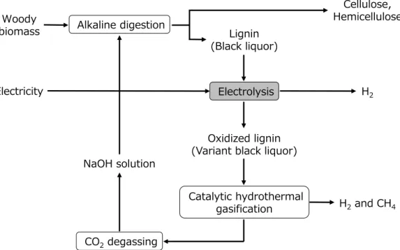 Figure 1-15. Complete gasification process of lignin via electrolysis and CHTG 
