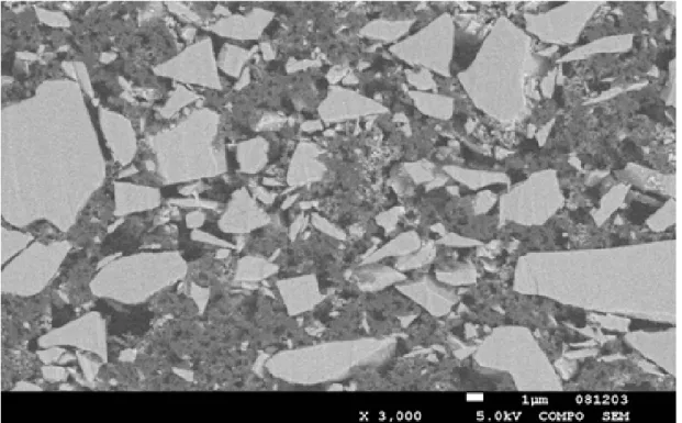 Fig. 2-1.  塗工後の Si 負極の断面 SEM 観察像．