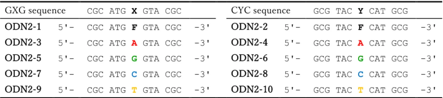 Table 2-1  ODN 配列 