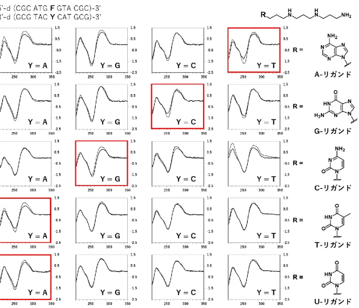 Fig. 2-6  各リガンド非存在下および存在下における ODN2-1 2 本鎖の CD スペクトル