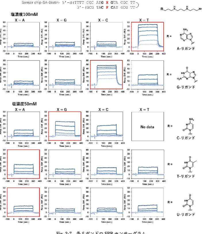 Fig. 2-7  各リガンドの SPR センサーグラム