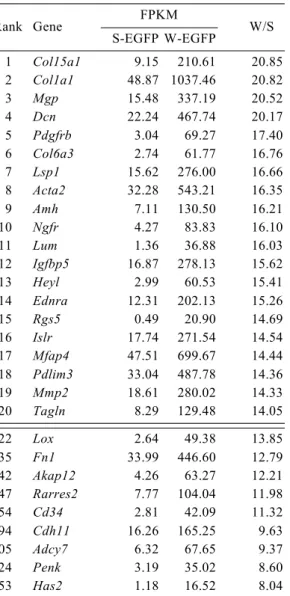 Table 5. List of top 20 genes with increased expression in W-EGFP cells
