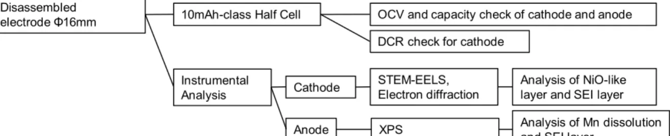 Figure 2.1  解析フロー 