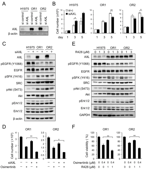 Figure 11. (A) AXL protein expression levels in three cell lines treated with control or AXL siRNA  for  3  days