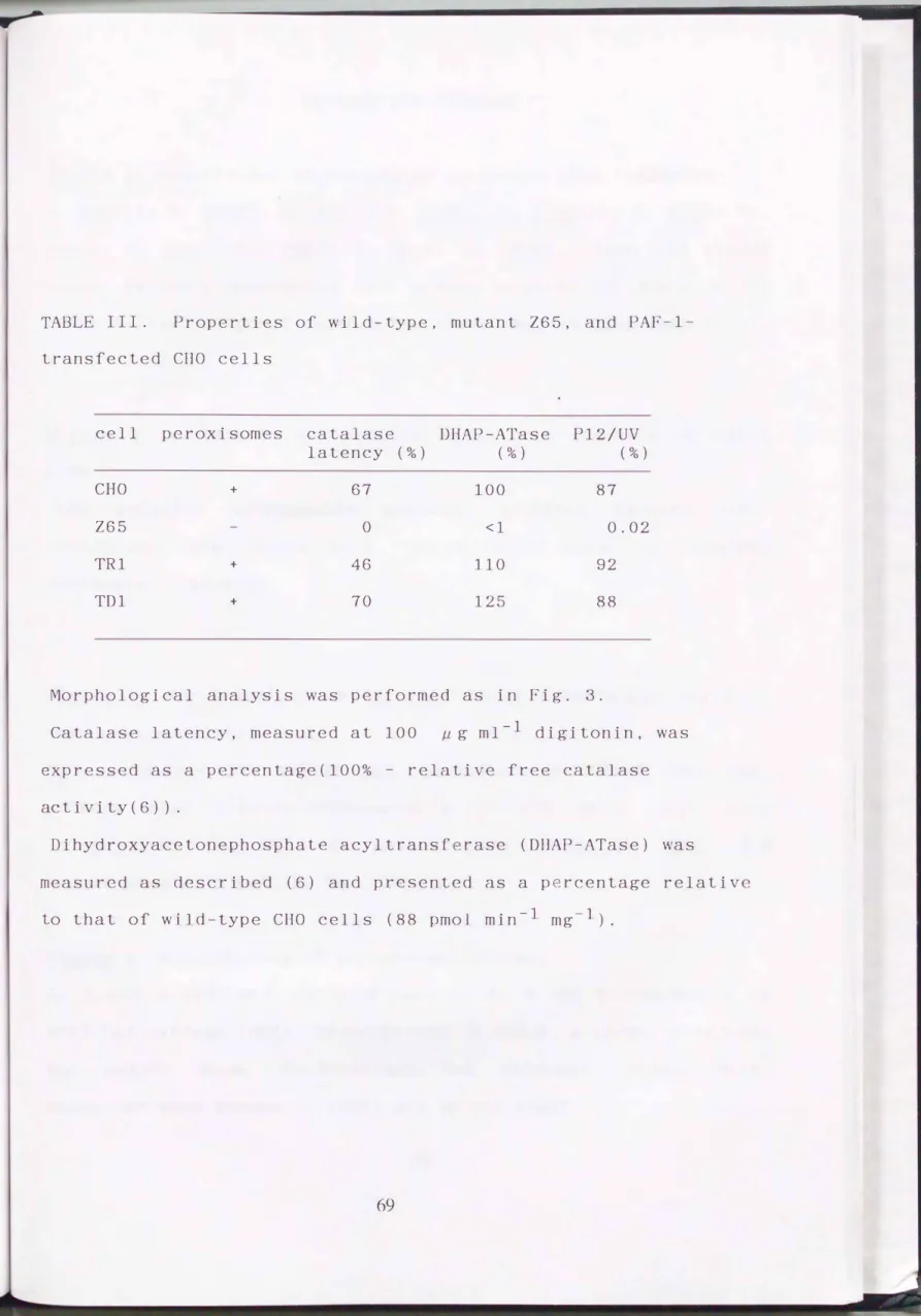 TABLE  III.  Properties  of  wild-type,  mutant  Z65,  and  PAF-1- PAF-1-transfected  CHO  cells 