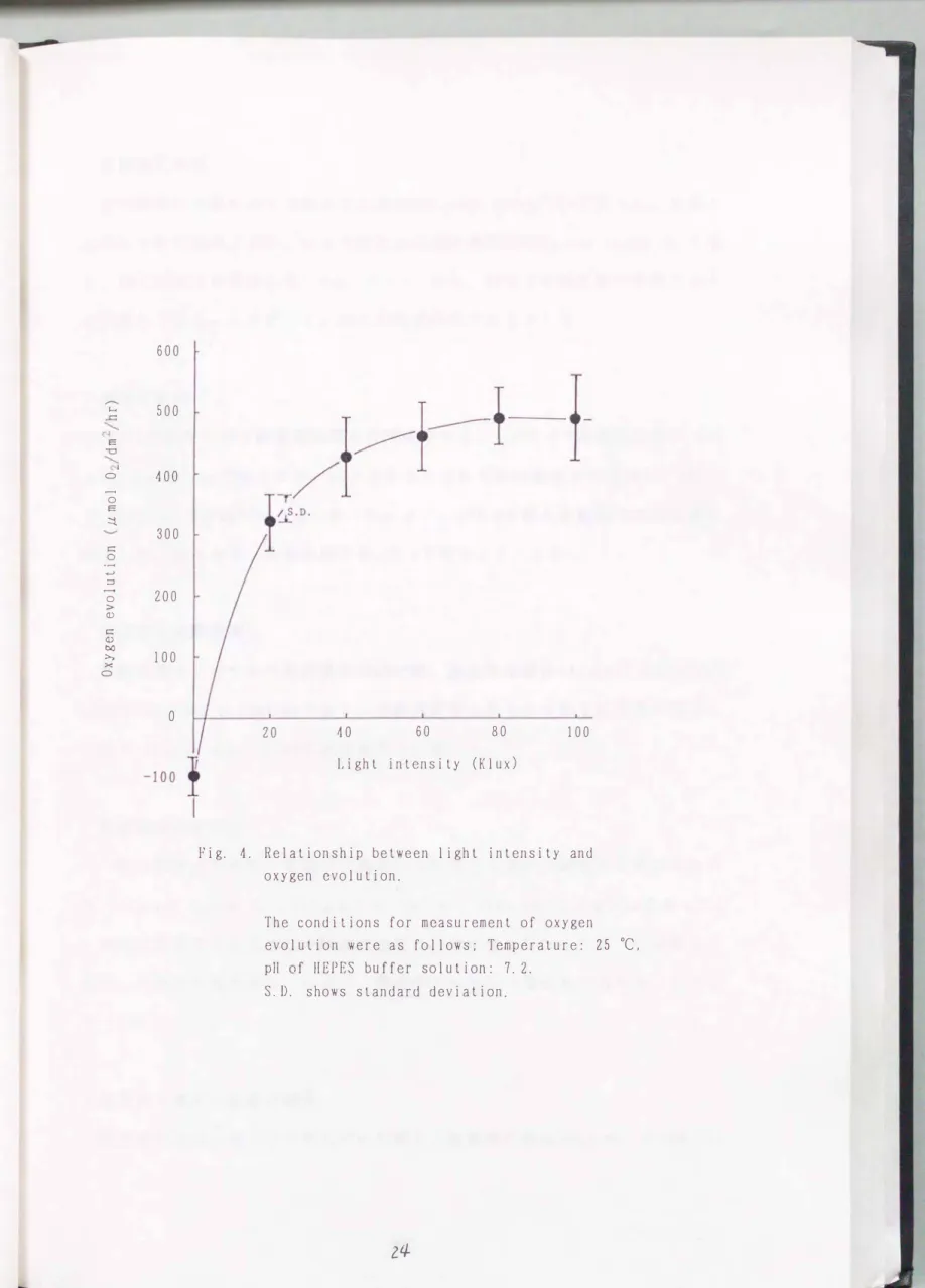 Fig.  4.  Relationship  belween  lighl  intensity  and  oxygen  evolulion 