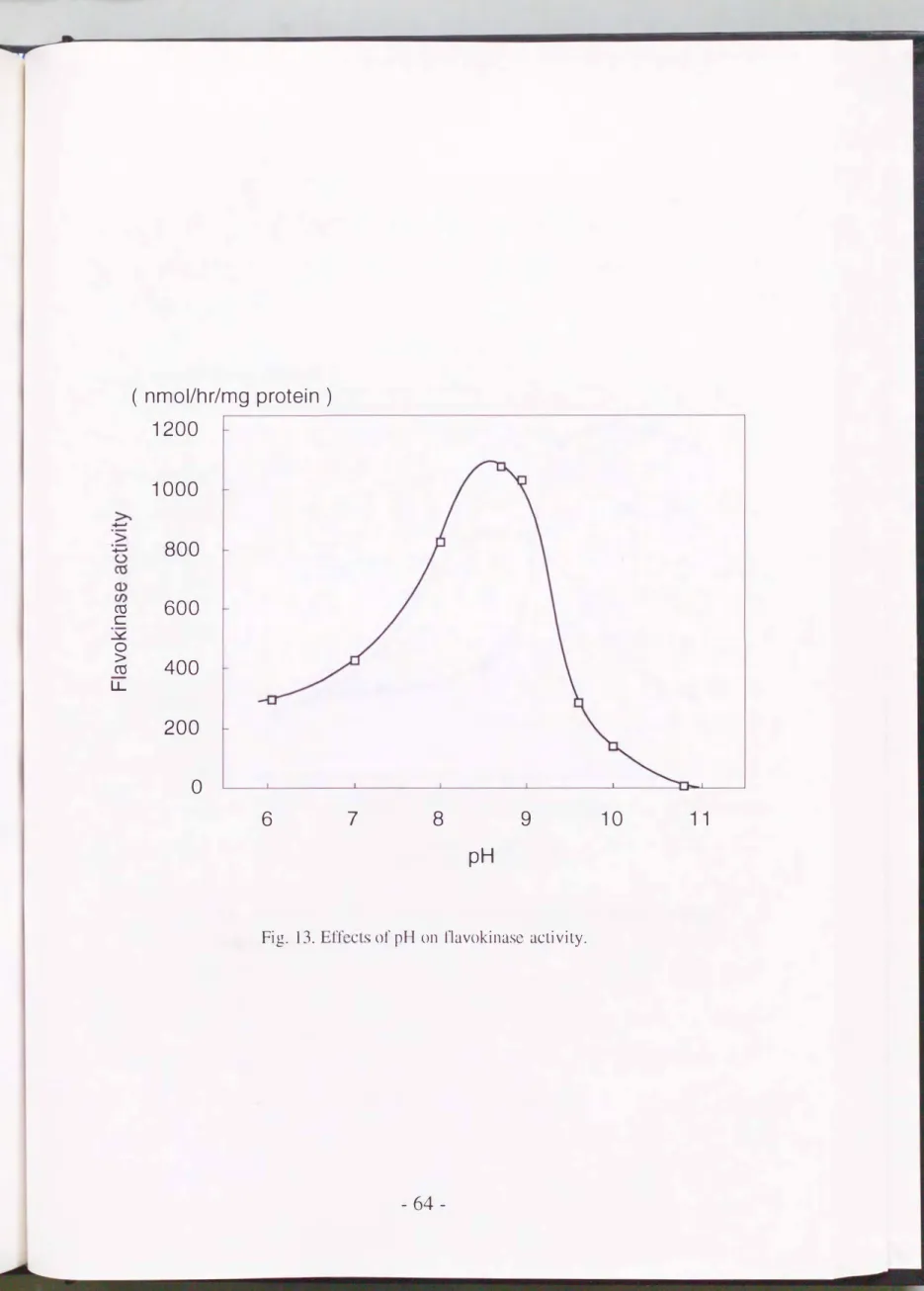 Fig.  13.  E ffeじts 01' pH  on  llavokinasc  aじtivity.