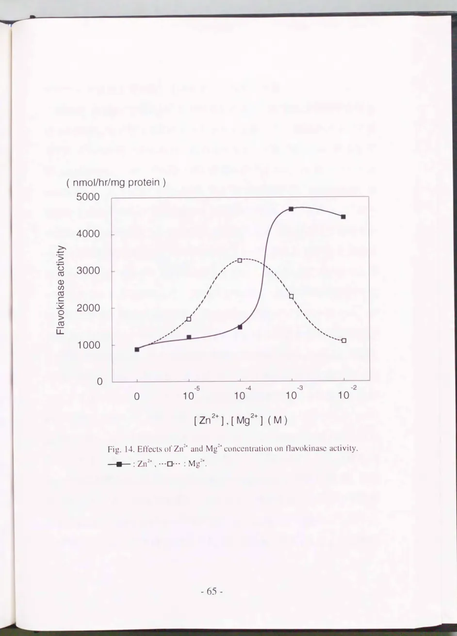 Fig.  14.  Effects  01'  Zn:!+  and孔192+ conccntration on  t1avokinase  activity. 