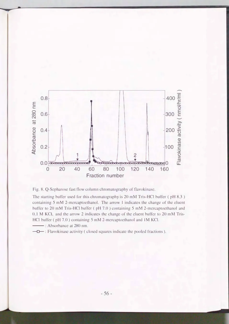 Fig.  8.  Q-Sepharosc fast flow column chromatography  01' flavokinase. 