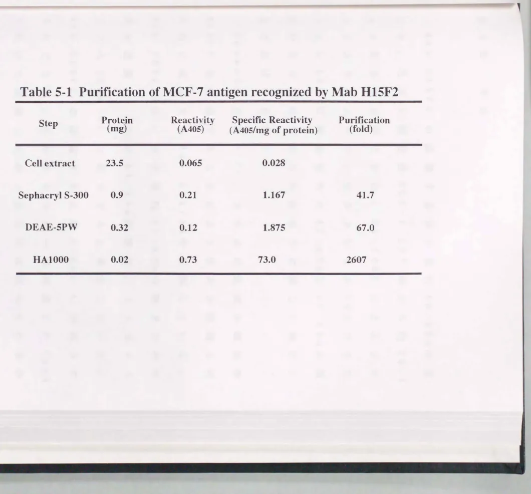 Table 5・1 Purification of MCF回7 antigen  recognized  by  Mab  H15F2 