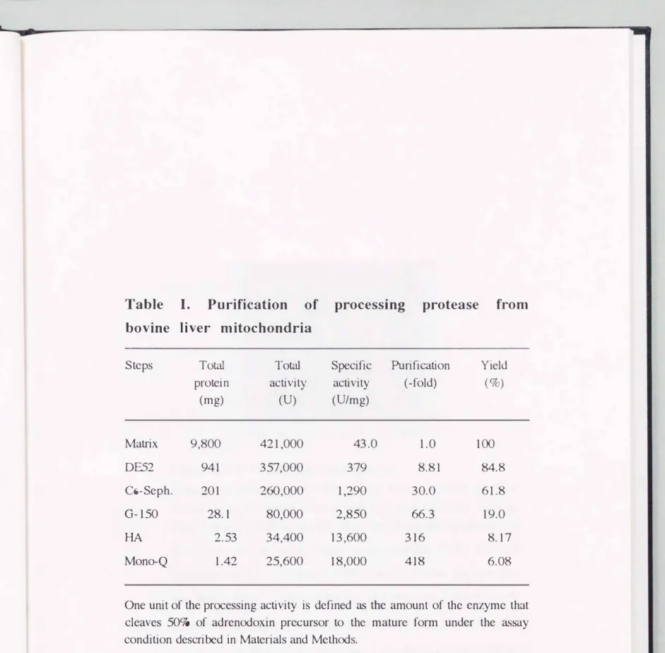 Table  I.  Purification  of  processing  protease  from  bovine  liver  mitochondria 