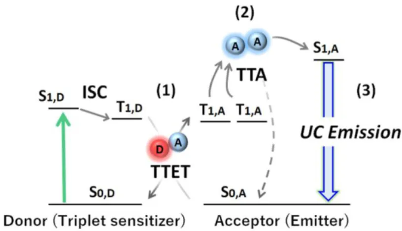 Figure  1-5.  Schematic  of  the  triplet-triplet  annihilation-based  upconversion  (TTA-UC)  process,  showing the energy levels involved in the TTA-UC (S = singlet, T = triplet)
