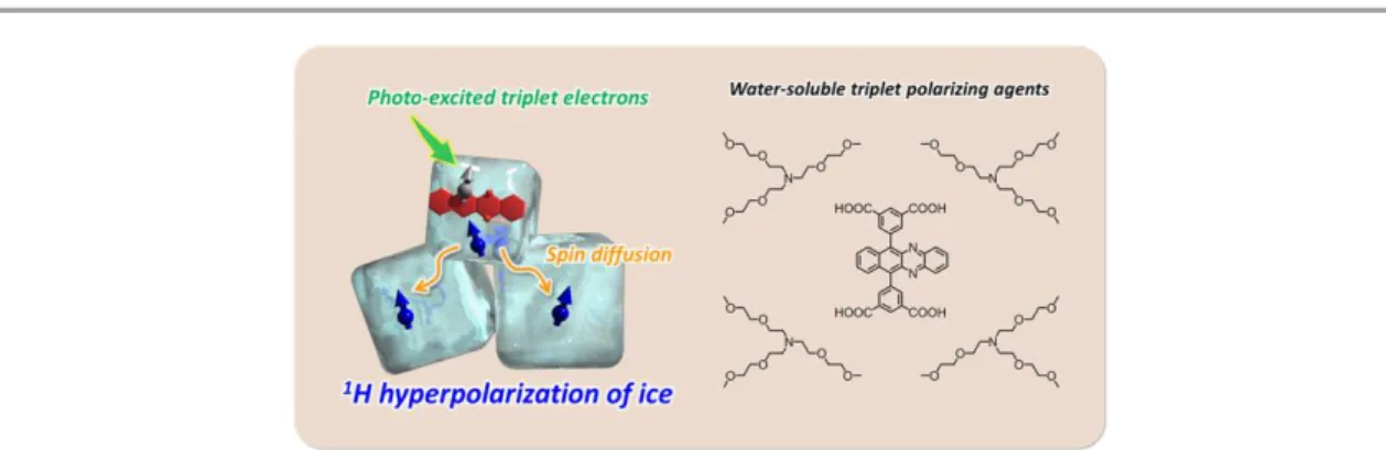 Figure 1-17. Schematic illustration of hyperpolarization by triplet-DNP in a pure ice state