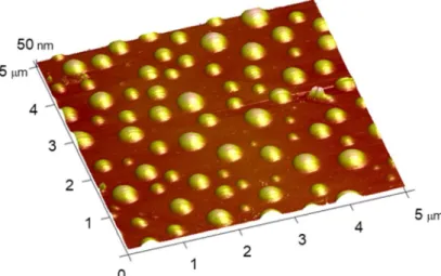 Figure 1.1 Three-dimensional image of interfacial nanobubbles obtained by AFM. 