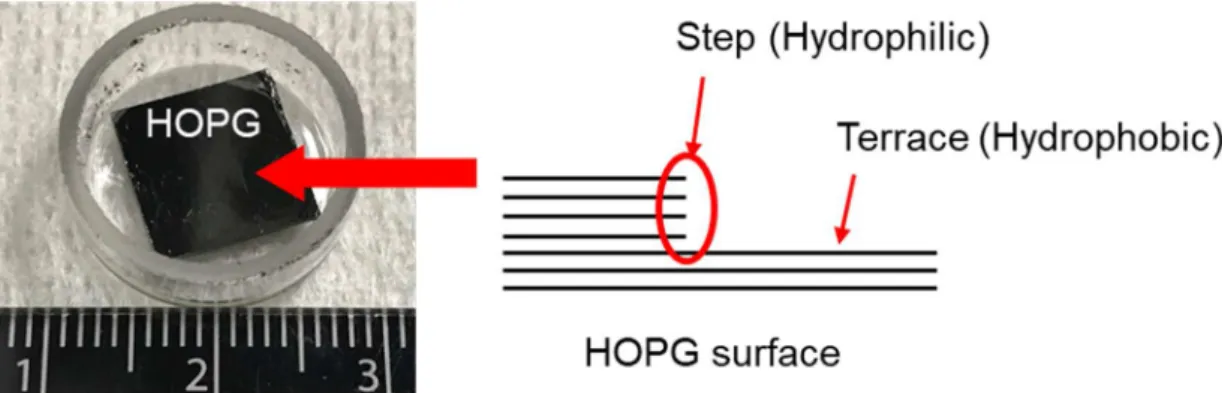 Figure 1.2 A photo of an HOPG and a schematic image of step and terrace structures on an HOPG  surface