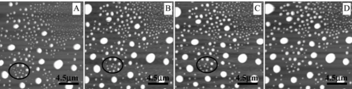 Figure 1.3 Stability of nanobubbles with time at different ambient temperature, where the temperature  of liquid is 30 °C: (A) 20 min at 21 °C, (B) 2 days at 21 °C, (C) an additional day at 23 °C, (D) a  second additional day at 25 °C (the start of day 5)