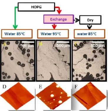 Figure  1.6  Microbubbles  nucleated  on  highly  oriented  pyrolytic  graphite  (HOPG)  at  elevated  temperature