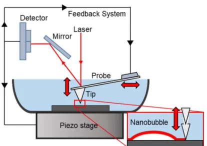 Figure 1.16 (a) Schematic image of interfacial nanobubble observation by using AFM. 