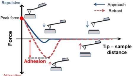Figure 1.18 Measurement of a force curve between a solid surface and an AFM tip. Blue and red  curves  indicate  the  force  curves  in  the  approach  and  retraction,  respectively