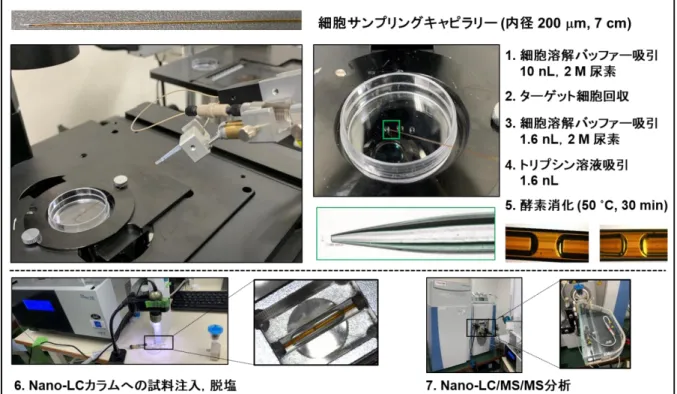 図 3-5.  ISPEC ver. 2 のワークフロー． 