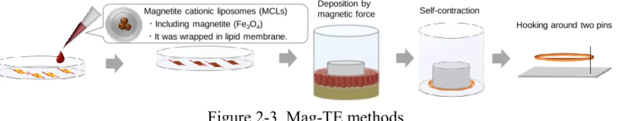 Figure 2-3. Mag-TE methods. 