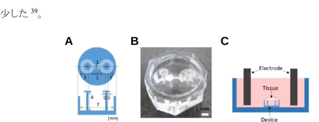 Figure 2-4. (A) Configuration of the microdevice, (B) Image of the fabricated device, (C)  Schematicdiagram of skeletal muscle tissue culture and electrical stimulation 39 