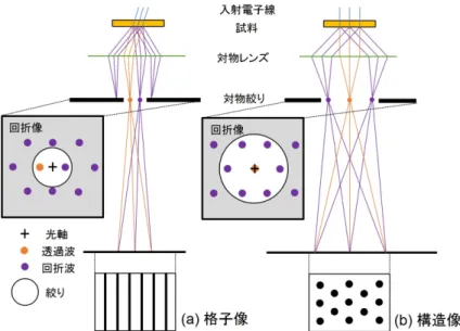 図 2.4:  格⼦像 (a)，構造像 (b)における電⼦線経路と対物絞りの関係． 