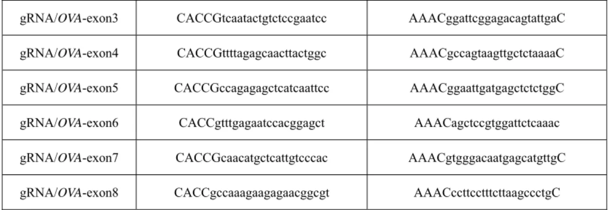 Table 3-2. Primer sequences used for vector construction. 