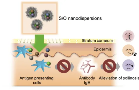 Fig. 2-5 Graphic abstract of this Chapter. 