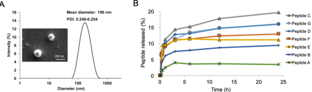 Fig. 2-6 (A) Size distribution of solid-in-oil nanodispersions and SEM image of solid-in-oil  nanoparticles  at  a  magnification  of  ×35,000